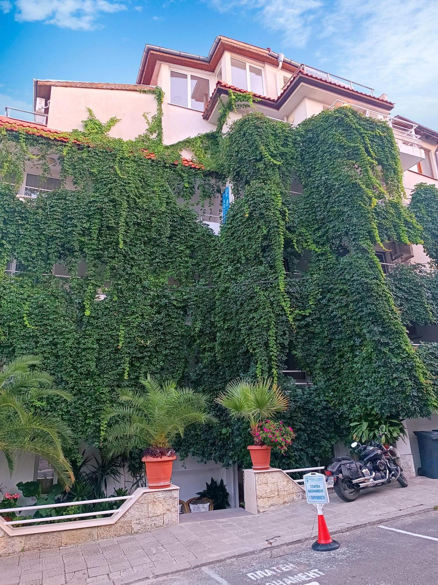 Family Hotel Sofi Sozopol Exteriör bild